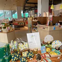 しかとレモンの写真・動画_image_626088