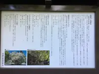 菩提寺の写真・動画_image_627488