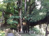 菩提寺の写真・動画_image_627489