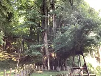 菩提寺の写真・動画_image_627492
