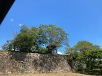 津山城跡の写真・動画_image_627522