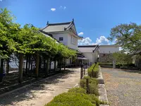 津山城跡の写真・動画_image_627531