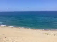 鳥取砂丘の写真・動画_image_627752