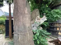 妖怪神社の写真・動画_image_627996