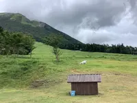 大山桝水高原 天空リフトの写真・動画_image_628021