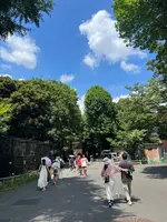 上野動物園の写真・動画_image_631200