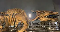 福井県立恐竜博物館の写真・動画_image_634171
