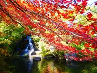 古峯神社の写真・動画_image_637925