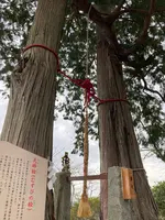 武雄神社の写真・動画_image_639206