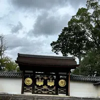 醍醐寺の写真・動画_image_639468