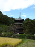 安久津八幡神社の写真・動画_image_646124