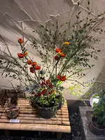 そば処 中村の写真・動画_image_646468