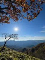 半月山展望台の写真・動画_image_647466