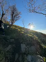 半月山展望台の写真・動画_image_647467