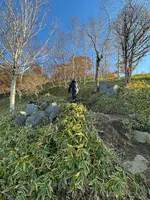 半月山展望台の写真・動画_image_647468