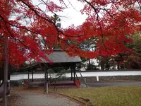 春日神社の写真・動画_image_656542