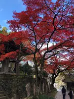 大雄山最乗寺の写真・動画_image_657352