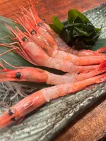 おさかなや魚魚権の写真・動画_image_659860