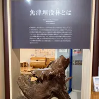 魚津埋没林博物館の写真・動画_image_664823