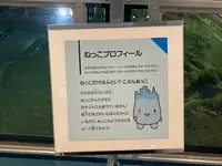 魚津埋没林博物館の写真・動画_image_664824