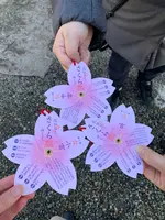 針綱神社の写真・動画_image_665833