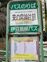 來宮神社の写真・動画_image_671227