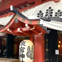 來宮神社の写真・動画_image_671228