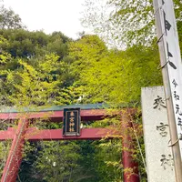 來宮神社の写真・動画_image_671229