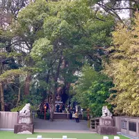 來宮神社の写真・動画_image_671230