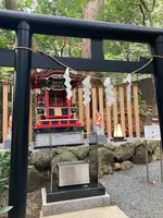 來宮神社の写真・動画_image_671232
