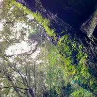 裏見ヶ滝の写真・動画_image_673086
