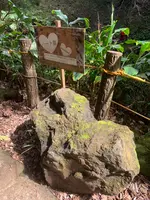 裏見ヶ滝の写真・動画_image_673087