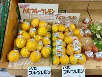 あさぬま大賀郷店の写真・動画_image_673594