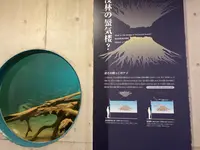 魚津埋没林博物館の写真・動画_image_674021