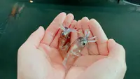 ほたるいかミュージアムの写真・動画_image_677541