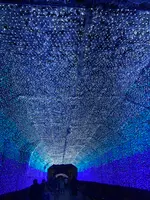 時之栖の写真・動画_image_680503