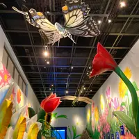 山中湖花の都公園の写真・動画_image_680528