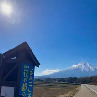山中湖花の都公園の写真・動画_image_680529