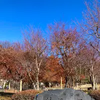 山中湖花の都公園の写真・動画_image_680532