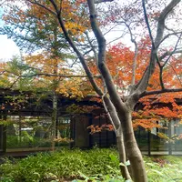 お宿 木の葉の写真・動画_image_680575
