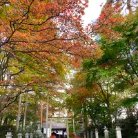 白根神社の写真・動画_image_680600