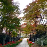 白根神社の写真・動画_image_680601