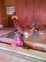 草津温泉おさるの湯もみ処～おさ湯の写真・動画_image_680606