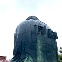 鎌倉大仏（高徳院）の写真・動画_image_680666