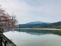 広沢池の写真・動画_image_681042