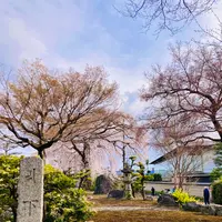 池の茶屋の写真・動画_image_681045