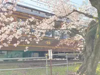 宇多野駅の写真・動画_image_681052