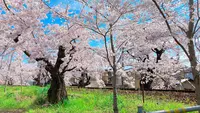 宇多野駅の写真・動画_image_681054