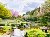 退蔵院の写真・動画_image_681091