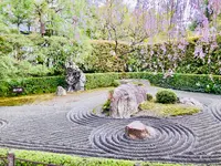 退蔵院の写真・動画_image_681092